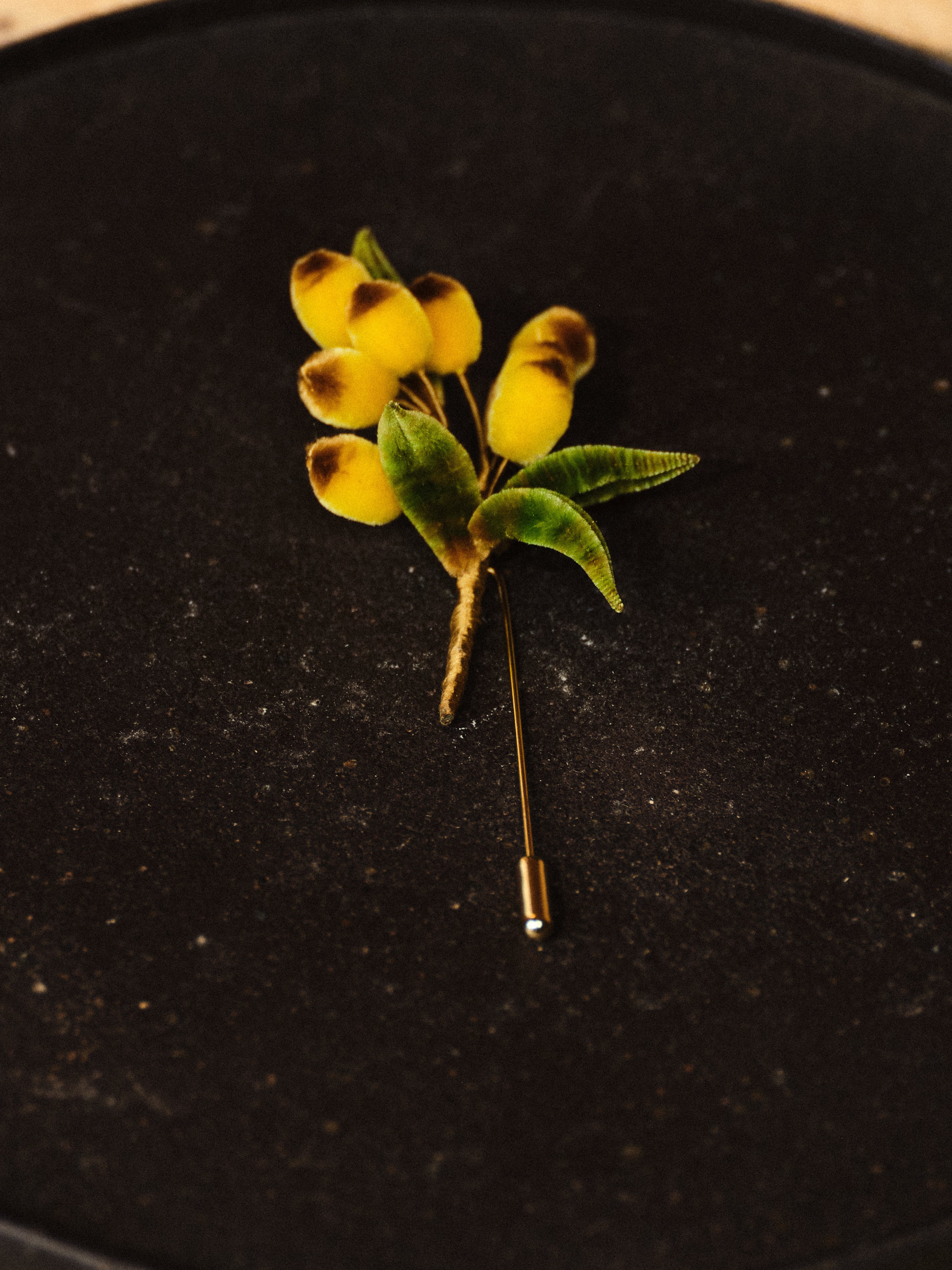 Ronghua Flower Brooch, Loquat