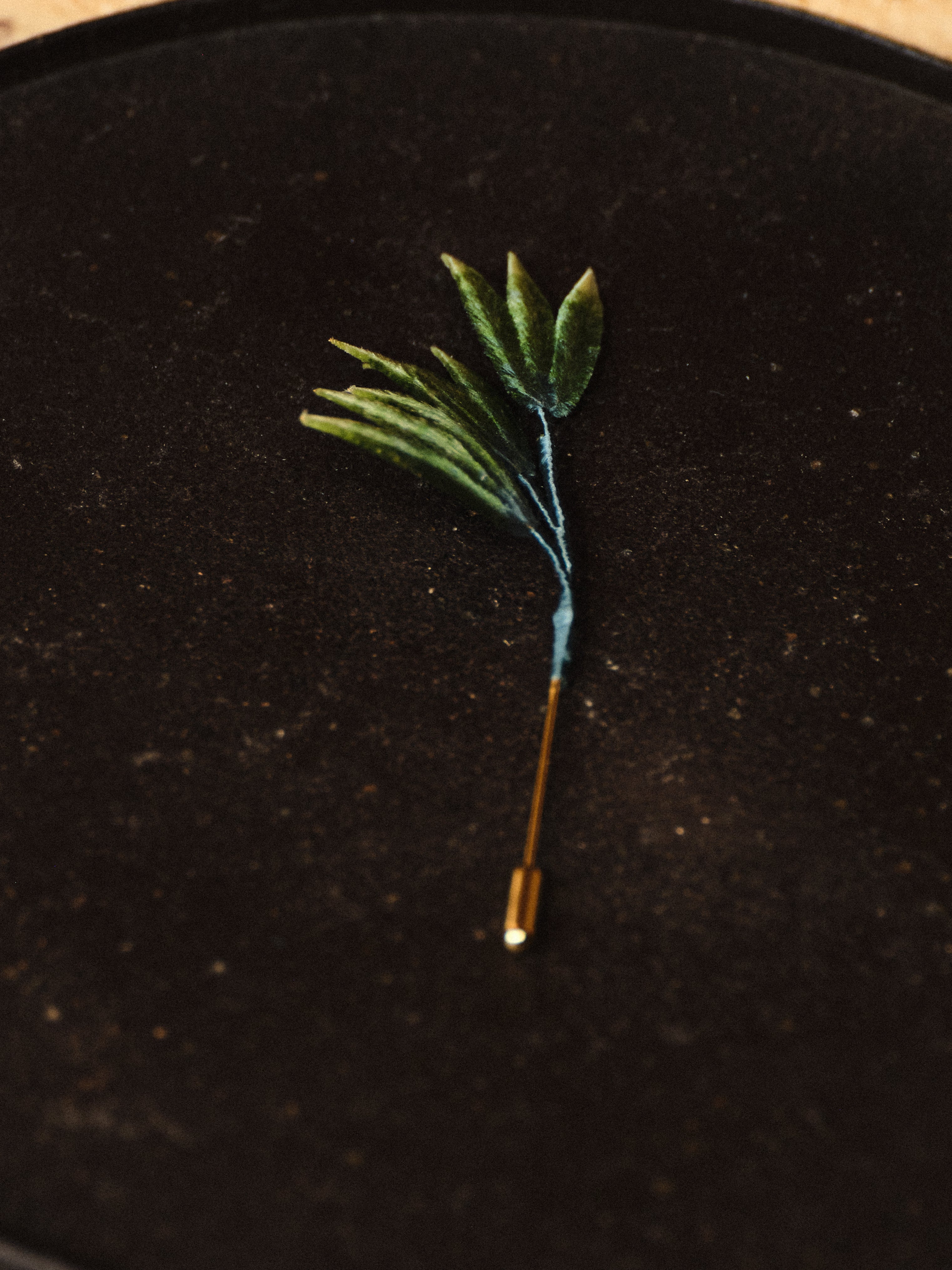 Ronghua Flower Brooch, Pine Bamboo